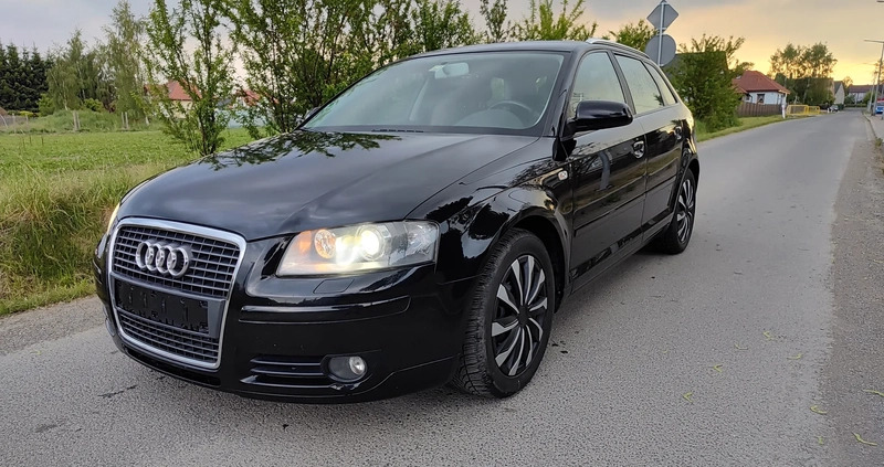 Audi A3 cena 18800 przebieg: 181000, rok produkcji 2006 z Legnica małe 191